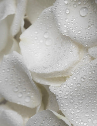 Microbiome Prebiotics Face Mist